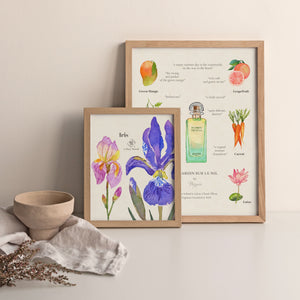 Perfume art prints with olfactory art. Fragrant flower, plants, fragrance illustrations and perfume notes. Great perfumaniac gift! High quality giclee prints of original watercolor paintings.