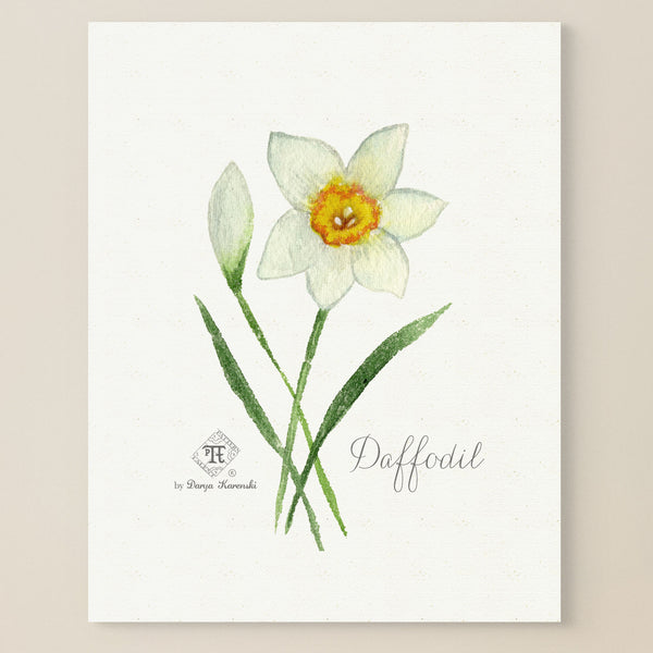 Daffodil painting. Daffodil perfume art. Darya Karenski