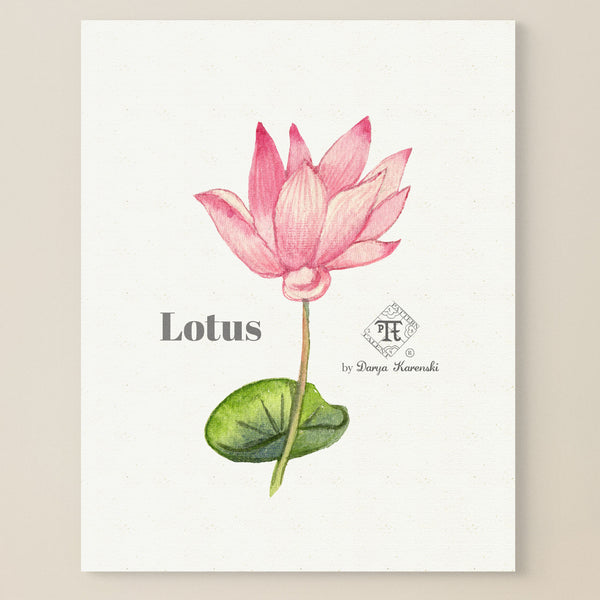 Lotus fragrance perfume home decor. Fine art print by Darya Karenski