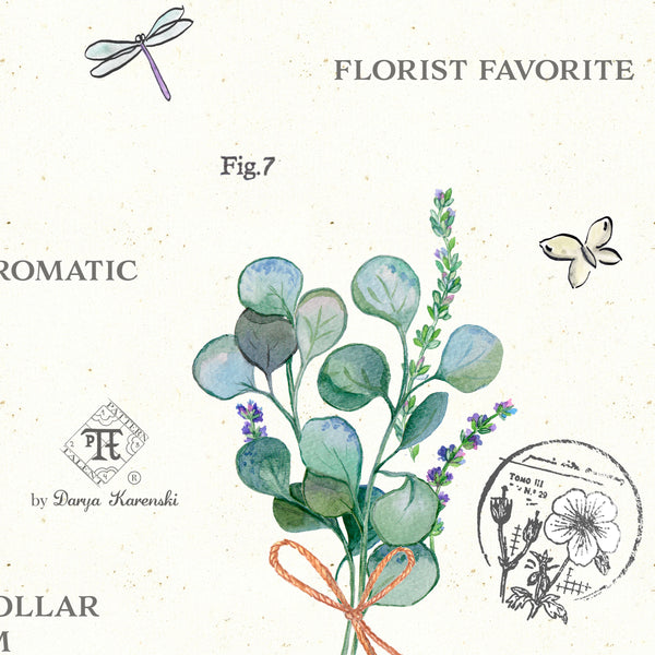 Closeup of botanical illustration by Darya Karenski