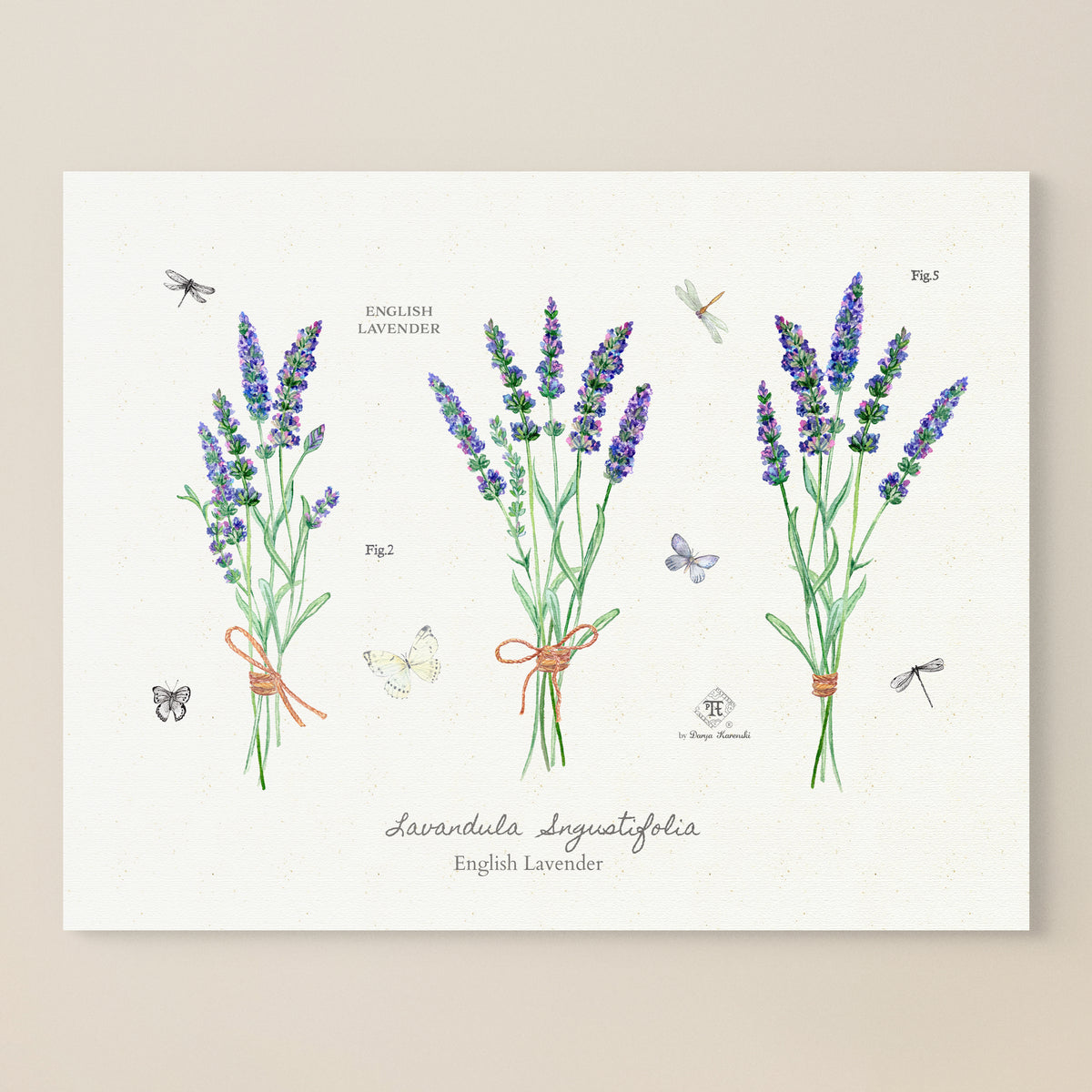 lavender flower print Watercolor Lavender Fine Art Print