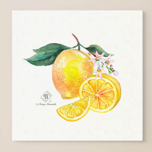 Watercolor botanical lemon blossom art print wall room decor by Darya Karenski