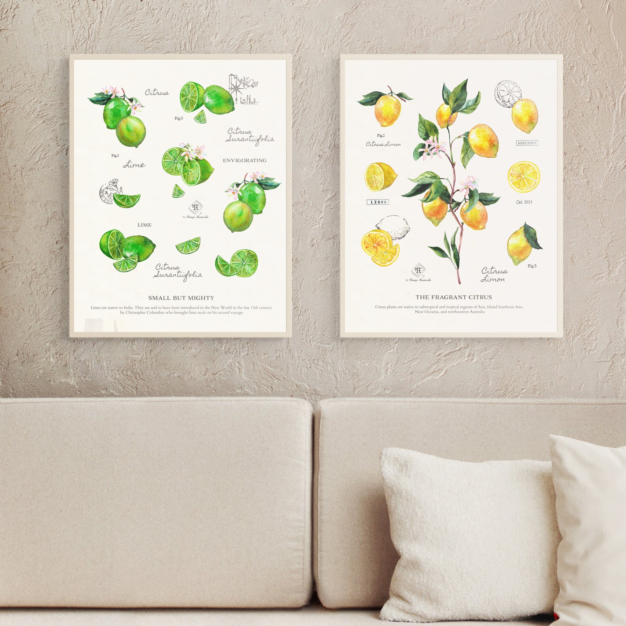 Watercolor botanical study citrus art print collection by Darya Karenski