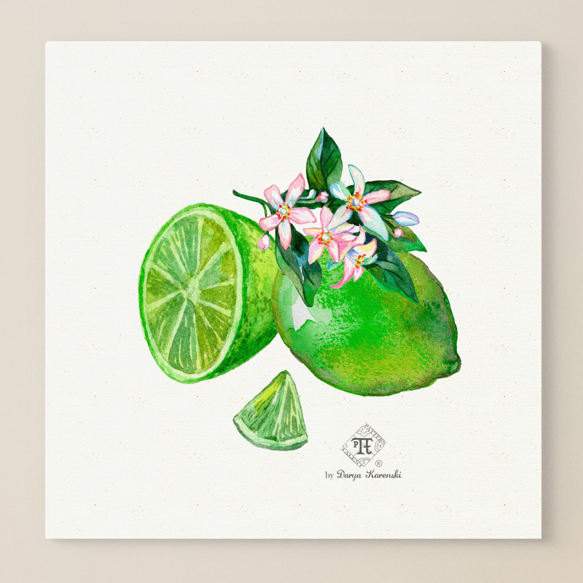 Lime Blossom Watercolor Art Print Square | Lime citrus wall art