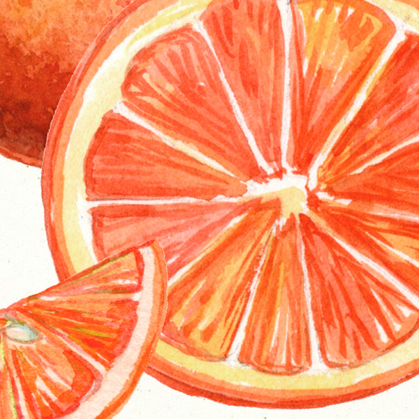 Detail of Watercolor botanical orange blossom art print by Darya Karenski
