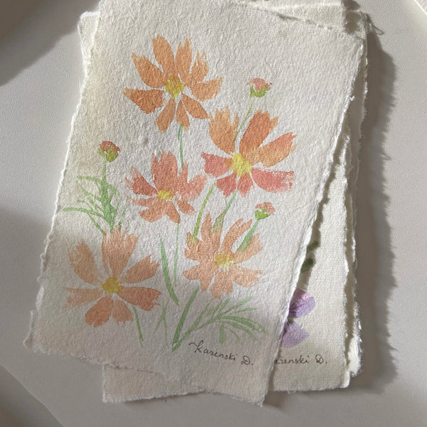 Peach orange cosmos flower artwork