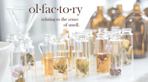 Can you smell it? Introducing my olfactory artwork collection!