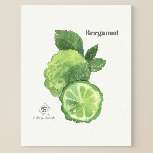 Bergamot scent art - citrus fragrance wall art by Darya Karenski