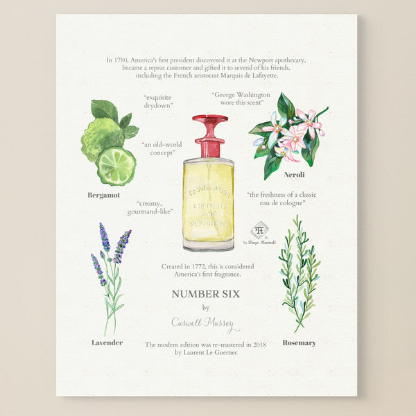 Olfactory art for perfume lovers - iconic men's fragrance notes illustration
