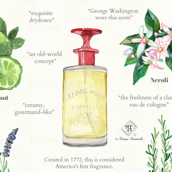 Detail of olfactory art by Darya Karenski - mens fragrance illustration