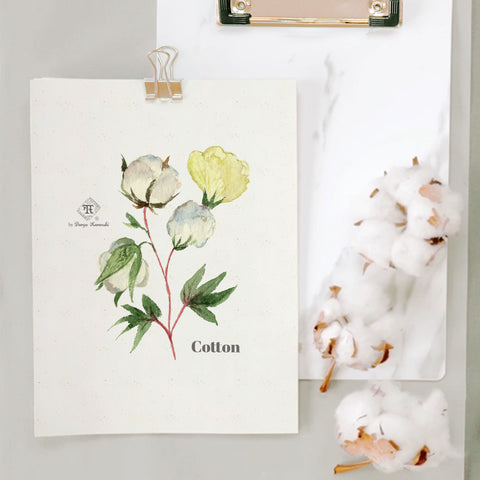 Cotton watercolor art print wall art by Darya Karenski | Cotton perfume illustration