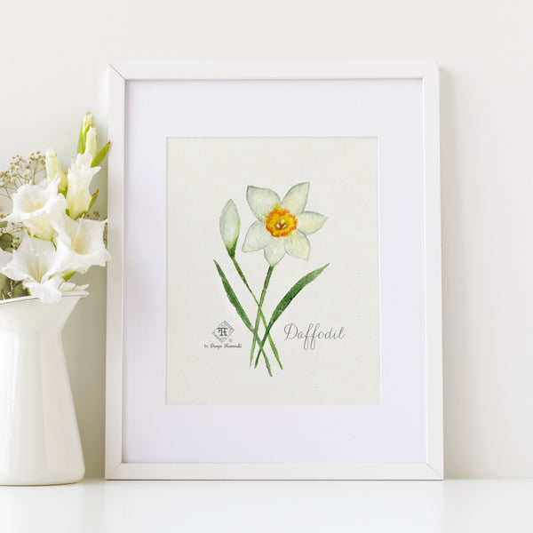 Watercolor daffodil art - narcissus fragrance wall art by Darya Karenski