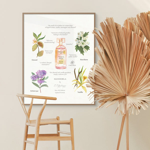 Olfactory art for perfume lovers - iconic fragrance notes illustration