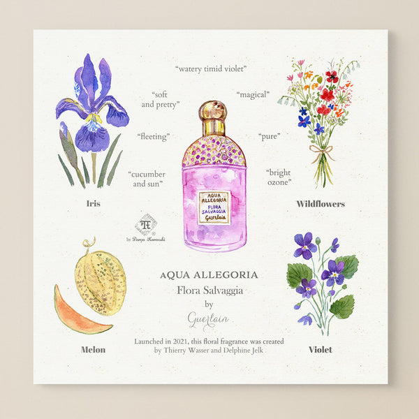 Olfactory art for perfume lovers - fragrance notes illustration