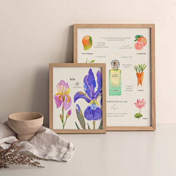 Iris fragrance watercolor painting. Perfume illustrations by artist Darya Karenski.