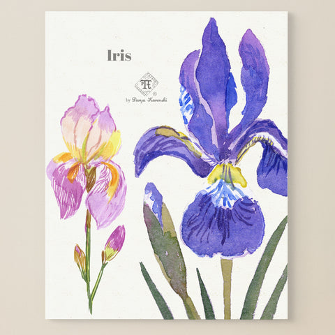 Purple iris painting - iris fragrance wall art by Darya Karenski