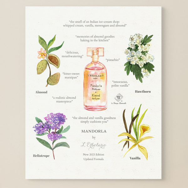 Olfactory art - Italian perfume illustration
