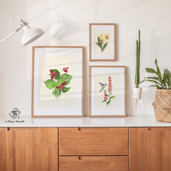 Watercolor wildflowers by New England artist Darya Karenski - original artwork for the textile print New England Herbarium