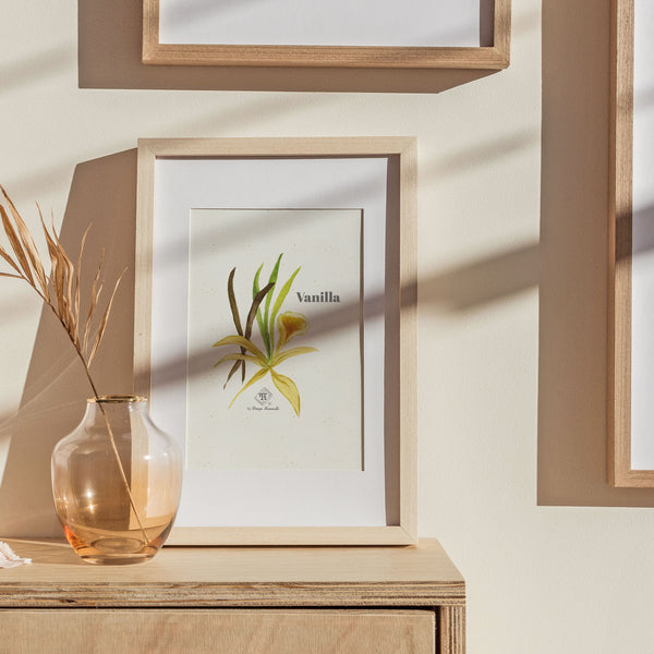 Olfactory art for perfume lovers - fragrant plants art | Vanilla