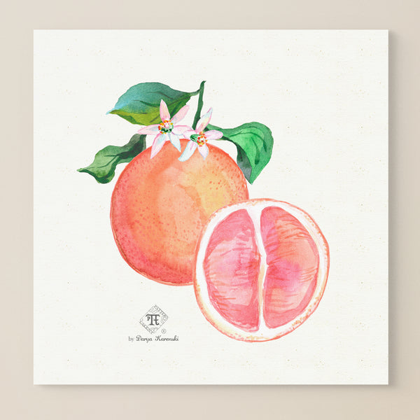 Watercolor botanical grapefruit blossom art print wall art by Darya Karenski