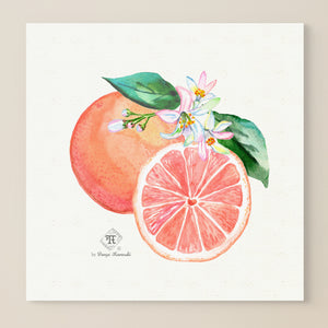 Watercolor botanical grapefruit blossom art print wall art by Darya Karenski