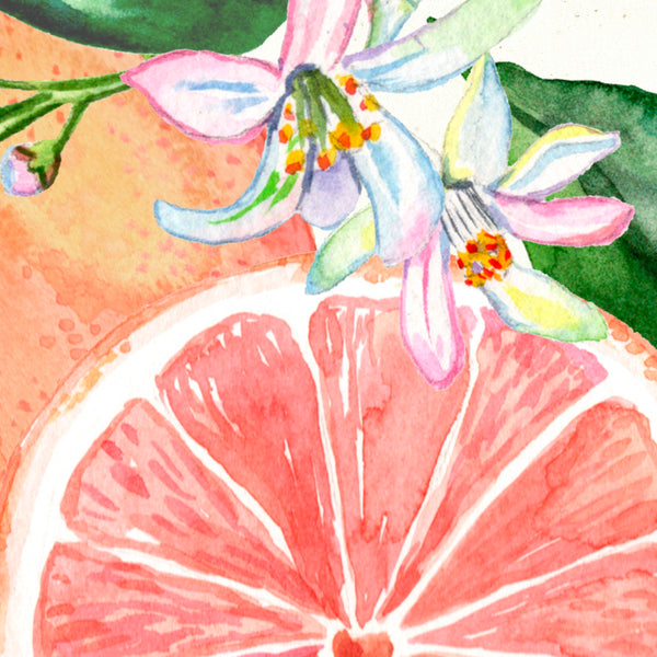 Detail of Watercolor botanical grapefruit blossom art print by Darya Karenski