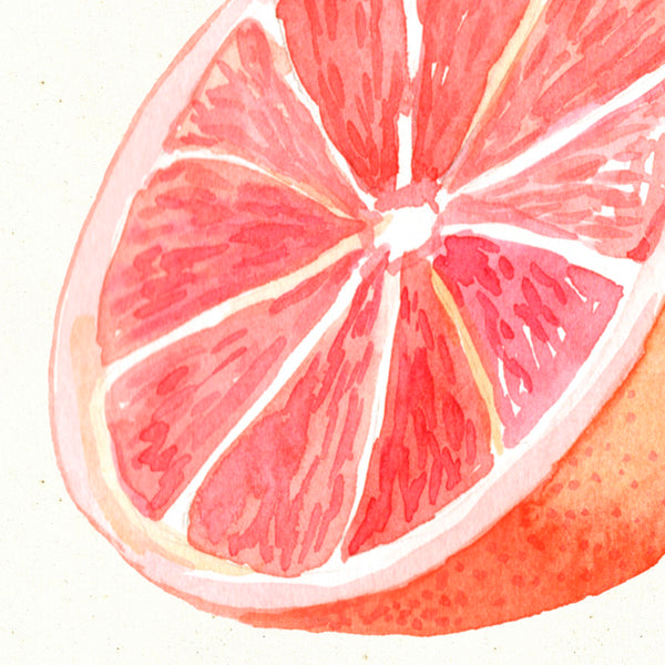 Detail of Watercolor botanical grapefruit citrus art print by Darya Karenski