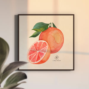 Watercolor botanical grapefruit room decor by Darya Karenski