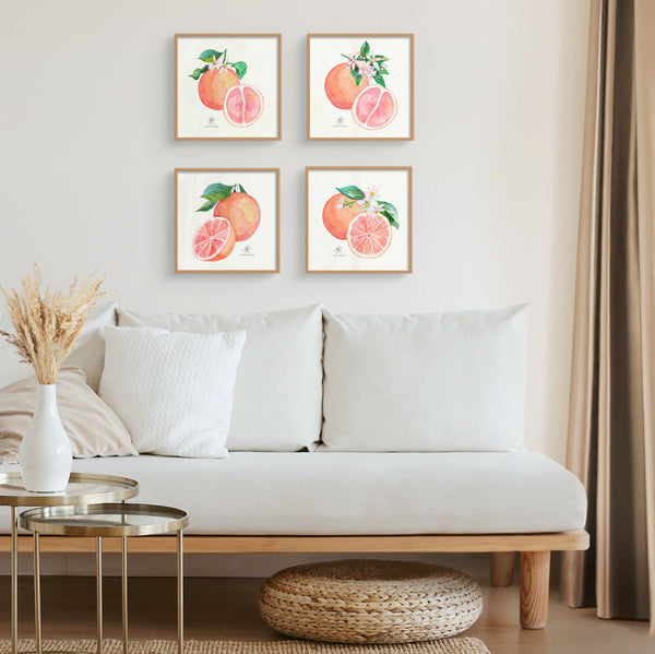 Aromatherapy grapefruit collection by Darya Karenski