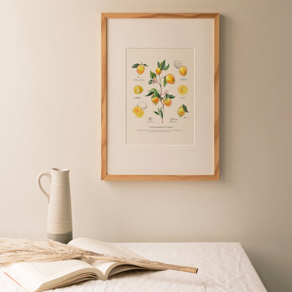 Botanical art room decor Aromatherapy citrus art print wall art by Pattern Talent