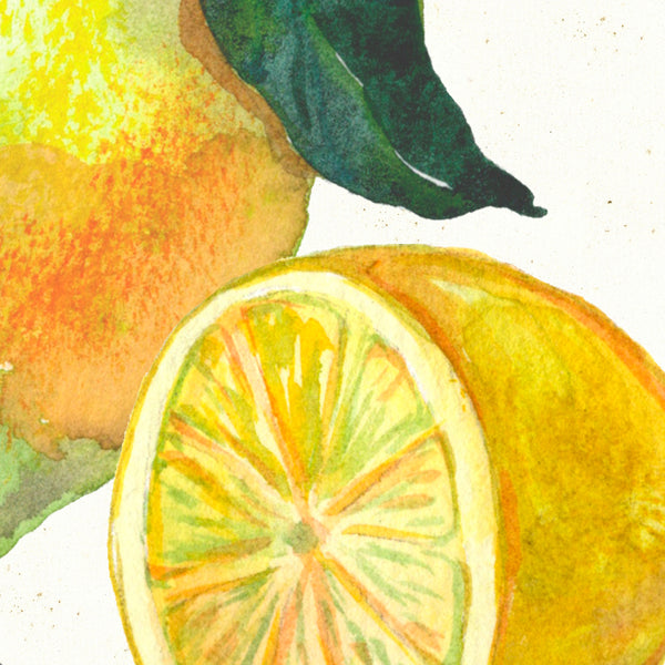 Detail of Watercolor botanical lemon kitchen art print by Darya Karenski