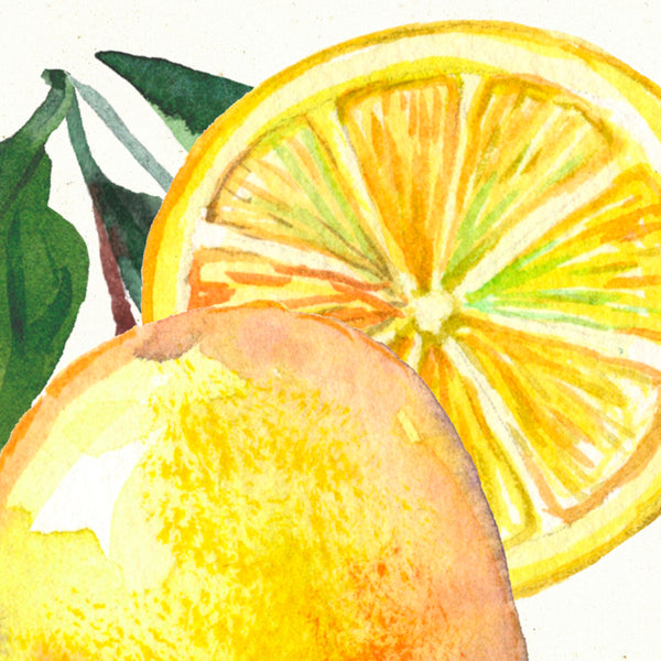 Detail of Watercolor botanical lemon kitchen art print by Darya Karenski