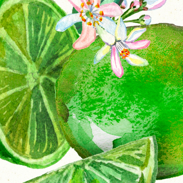 Detail of Watercolor botanical lemon blossom art print by Darya Karenski