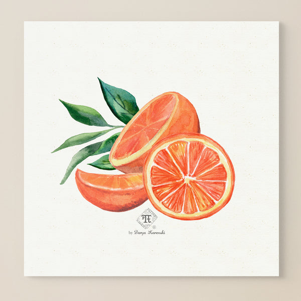 Watercolor botanical orange art print wall art by Darya Karenski