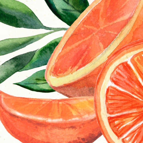 Detail of Watercolor botanical orange citrus art print by Darya Karenski